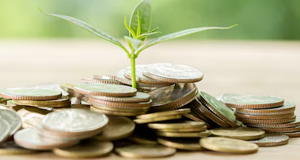 Document Managements-Fund Raising